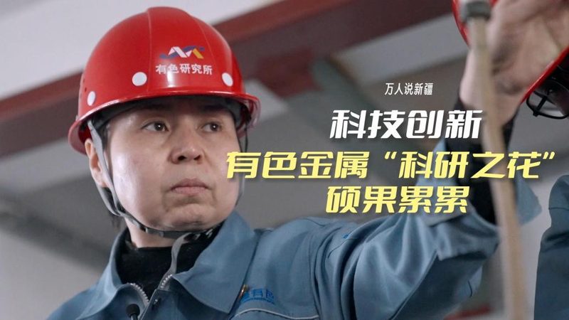 教育机构数字化转型的工具选择之道**